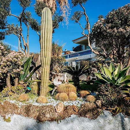 Appartamenti Ischia Casa Don Peppe Forio di Ischia Kültér fotó