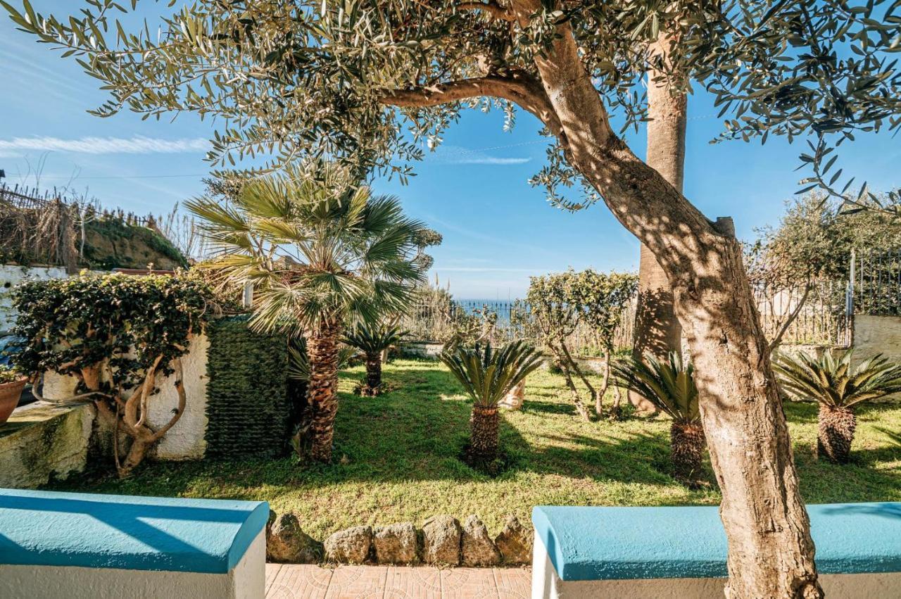 Appartamenti Ischia Casa Don Peppe Forio di Ischia Kültér fotó
