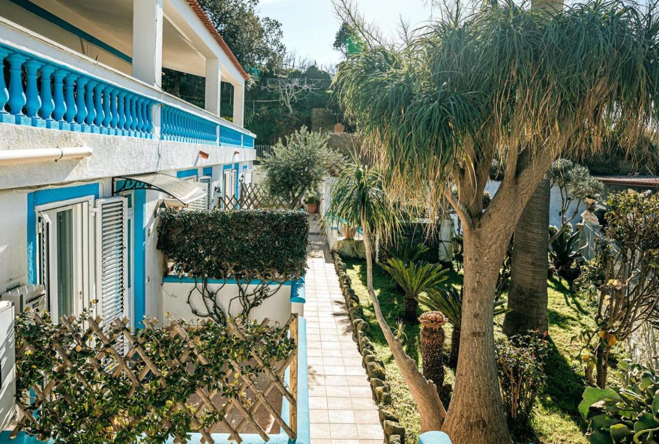 Appartamenti Ischia Casa Don Peppe Forio di Ischia Kültér fotó