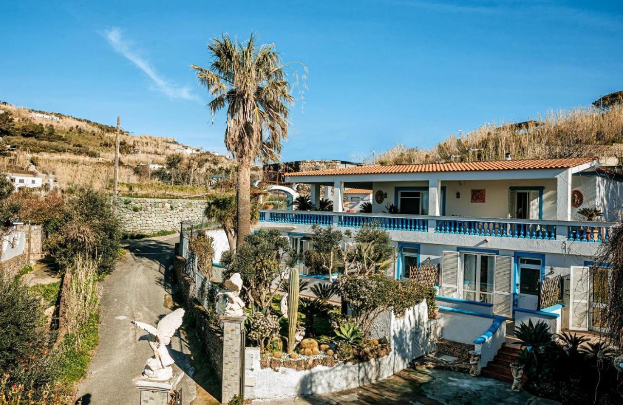 Appartamenti Ischia Casa Don Peppe Forio di Ischia Kültér fotó